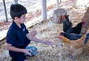 DSC03673.jpg