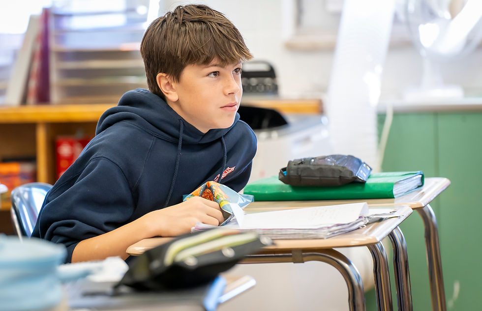 Student in class